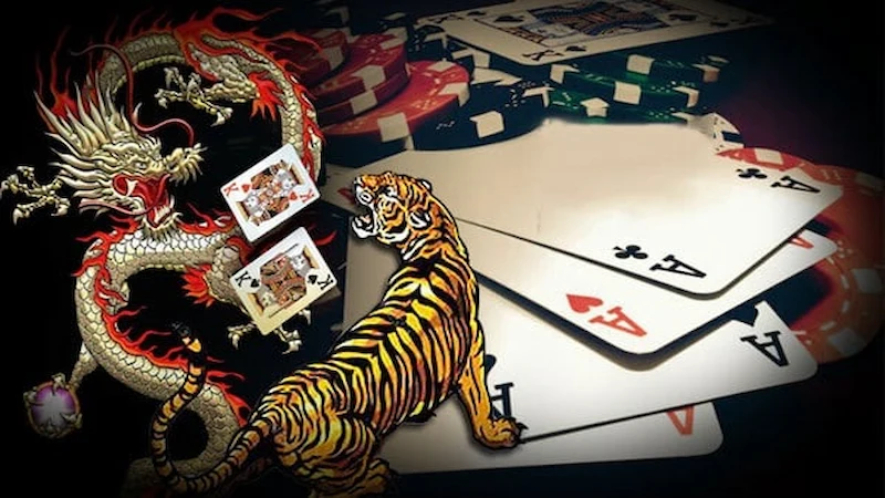 Precise Dragon Tiger Strategies from Experts